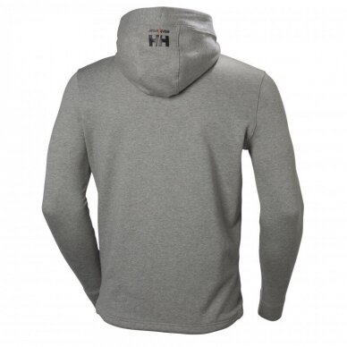 Džemperis HELLY HANSEN Chelsea Evolution Hood, pilkas 1