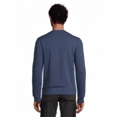 Džemperis HELLY HANSEN Graphic Sweatshirt, mėlynas 2