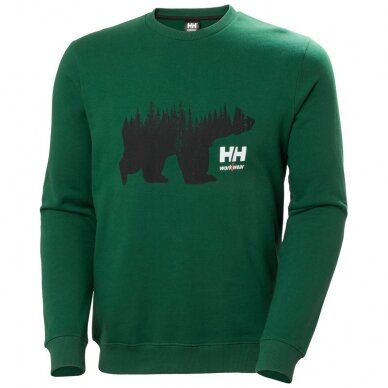 Džemperis HELLY HANSEN Graphic Sweatshirt, žalias